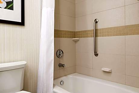 1 King Bed 1 Bedroom Suite