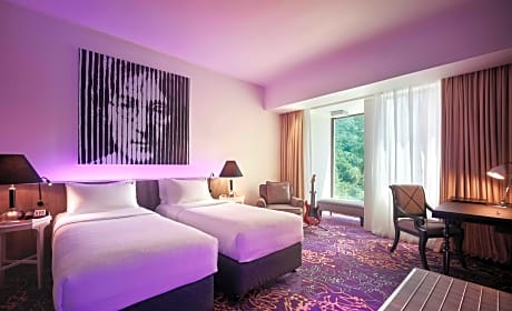 Hillview Deluxe Twin Room