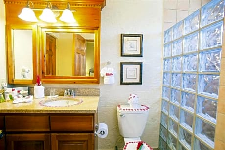 1 Queen Bed, Efficiency, Suite, Nonsmoking