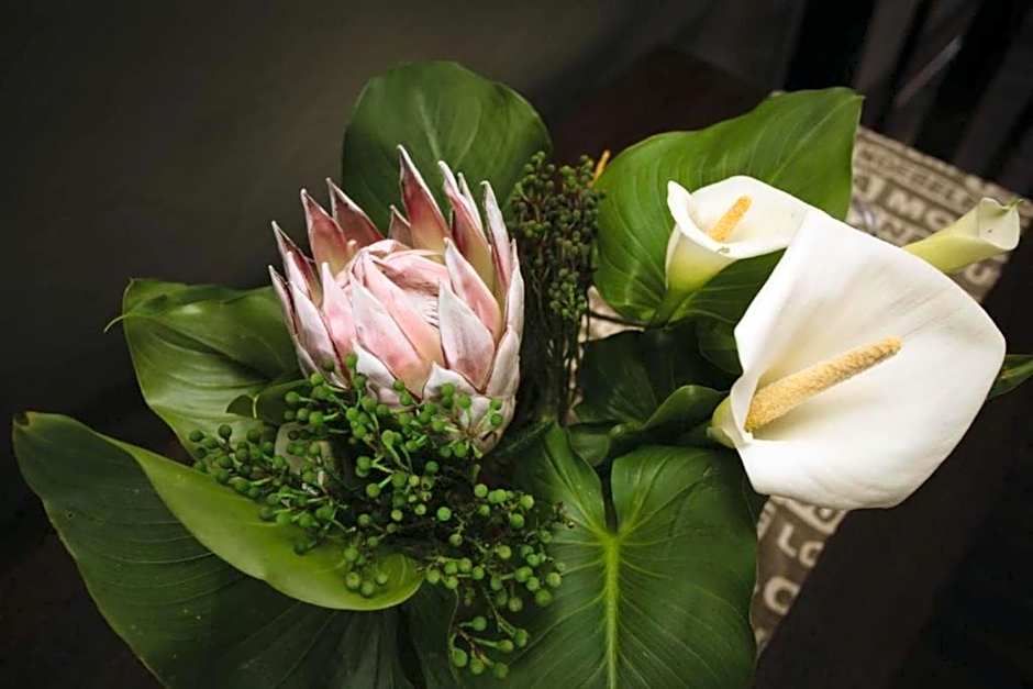 Misty Mountain Reserve