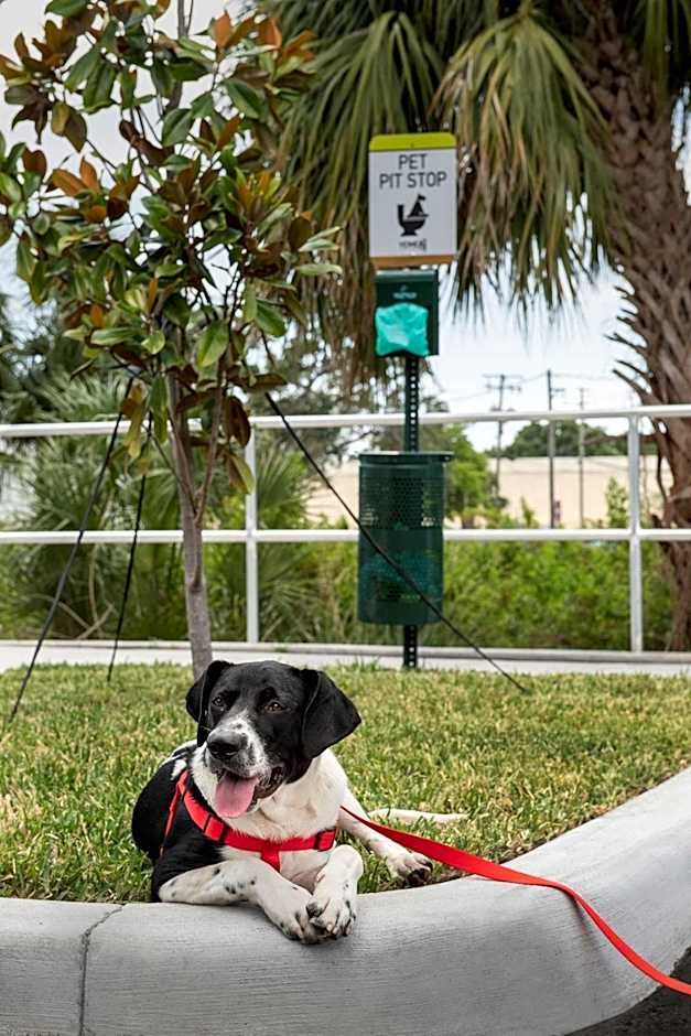 Home2 Suites by Hilton Tampa Westshore Airport, FL