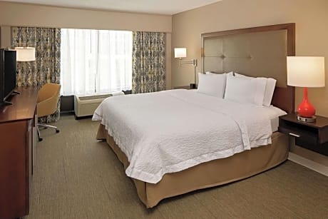 One-Bedroom King Suite - Non-Smoking