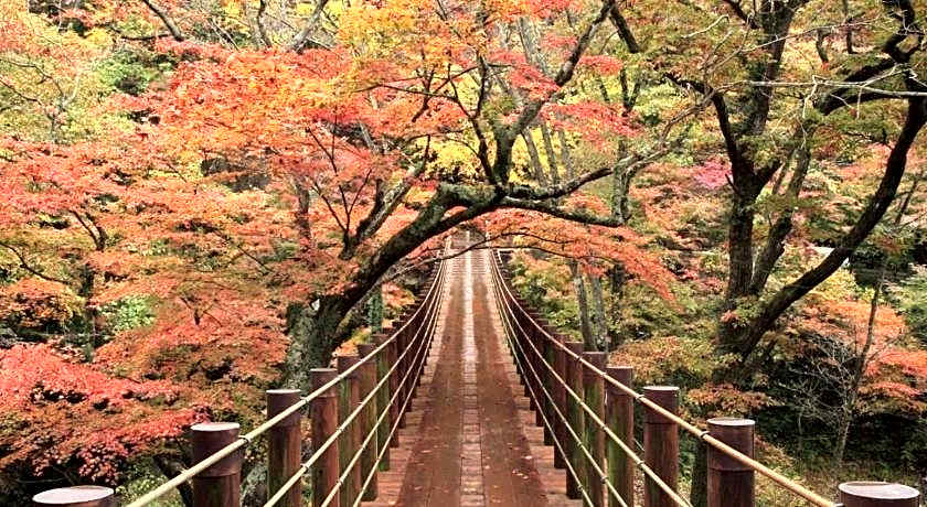 Hotel Wing International Hitachi