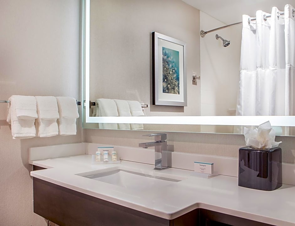 Hilton Garden Inn NYC Financial Center/Manhattan Downtown
