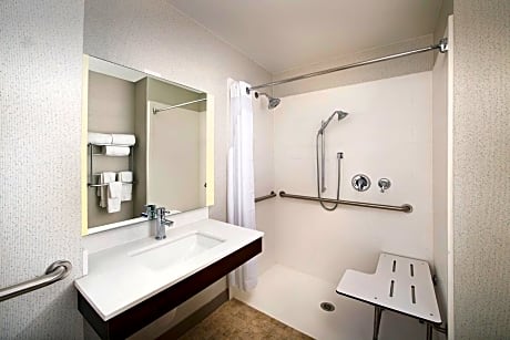 King Room - Disability Access Roll in Shower