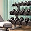 Holiday Inn Express & Suites Greenville-Downtown by IHG