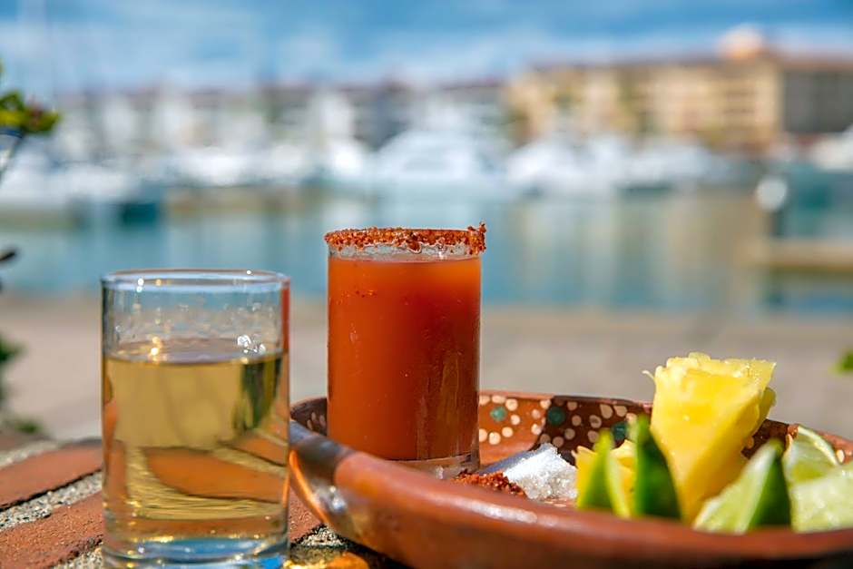 Flamingo Vallarta Hotel & Marina
