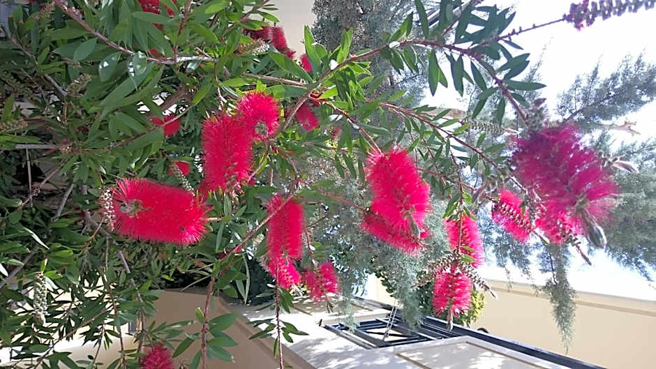 Mythos- Platanias- Hotel -Apts