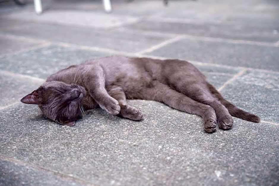 Agriturismo La Galizia