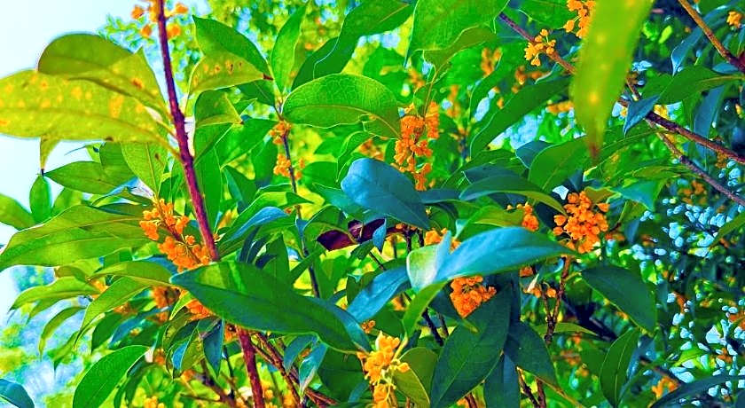 Hilton Garden Inn Ganzhou Longnan