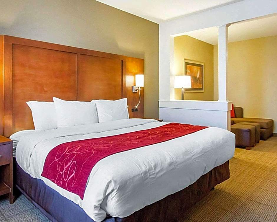 Comfort Suites Abilene Central