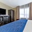 Comfort Inn & Suites Surprise Near Sun City West