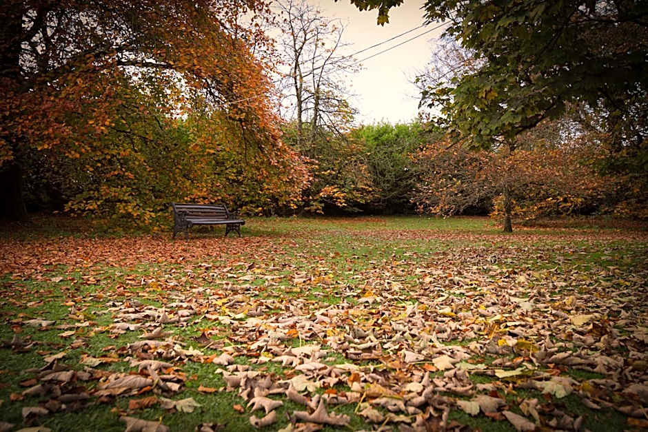 Abbey Hotel Roscommon