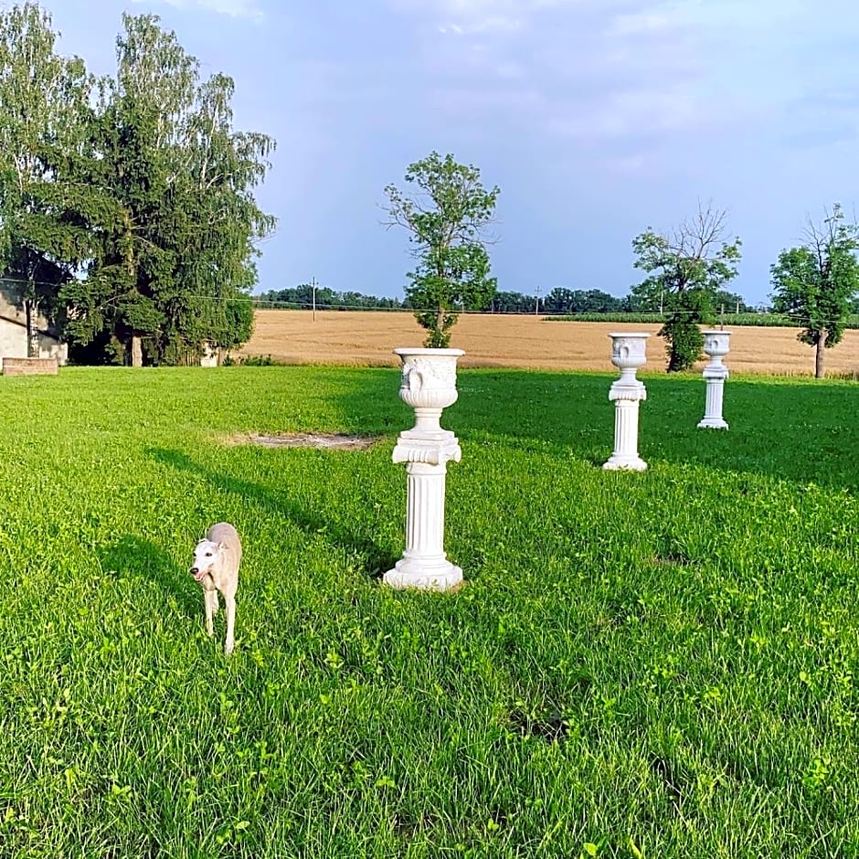 Palac Osowo gostynskie