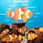 SAii Phi Phi Island Village - Complimentary Shared Speedboat Transfer for 5 Nights and Longer