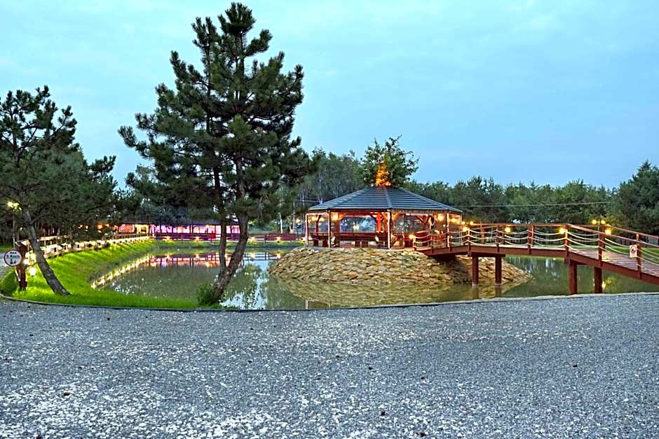 Rezydencja Elżbiecin