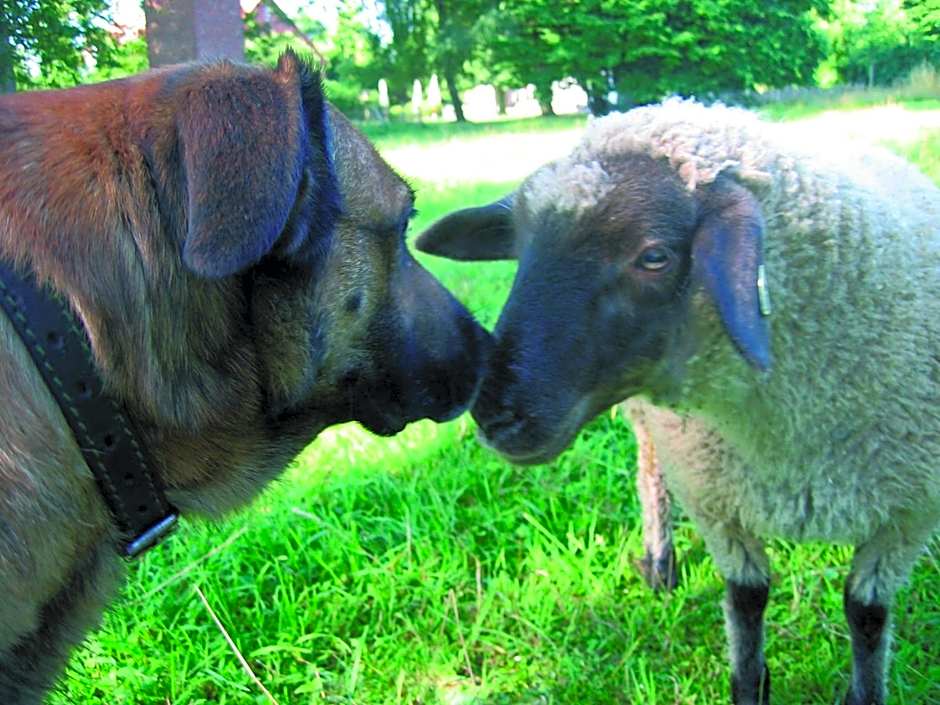 Seehotel Am Neuklostersee