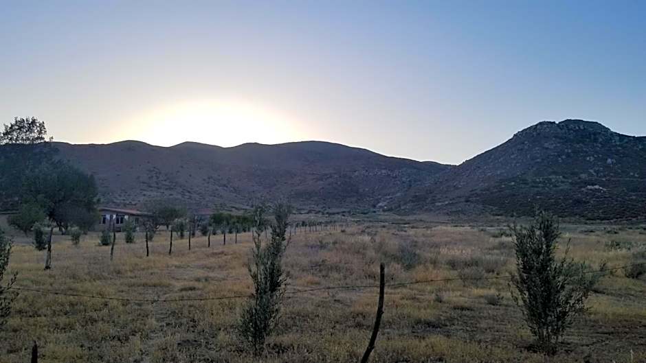 Cabañas Los Laureles ruta del vino