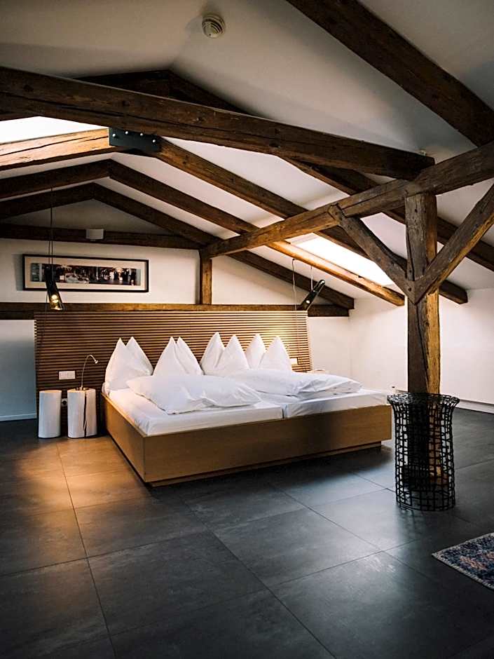 Arthotel Blaue Gans