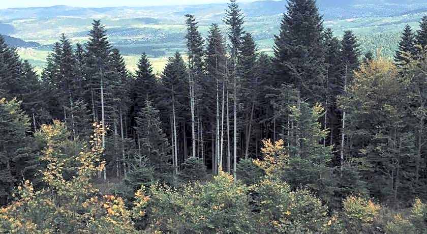 Chata "na Końcu" Świata