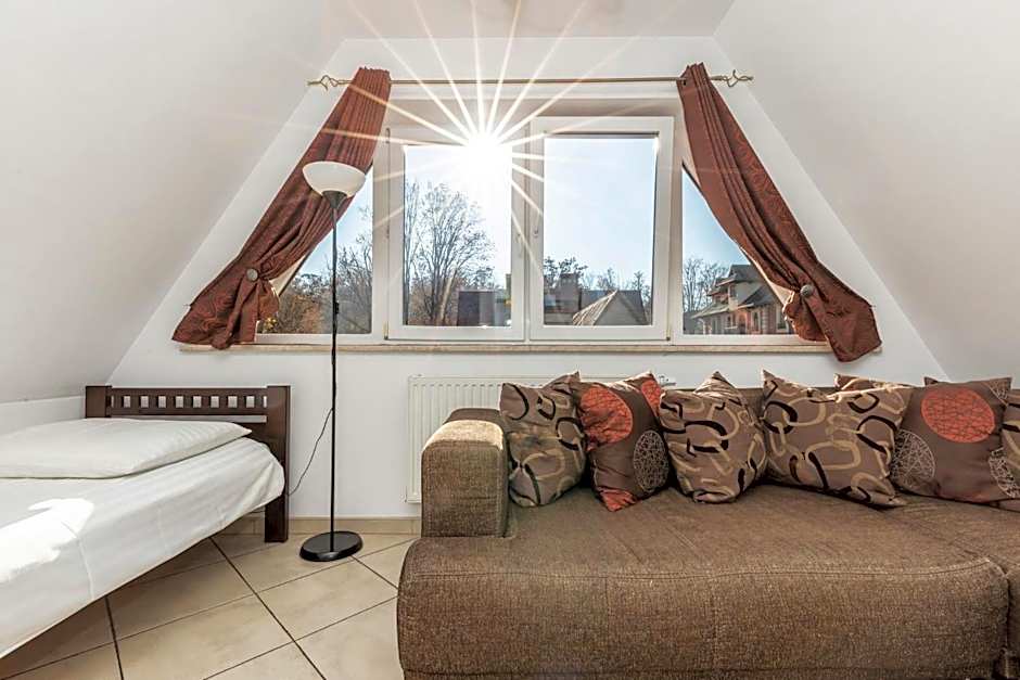 Brzoza w centrum Zakopanego