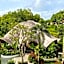Mantra Wellness Bali