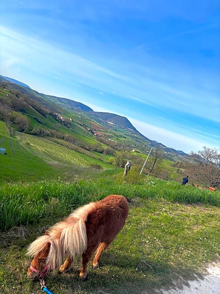 Agriturismo B&B La Cerasa