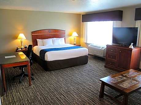 Executive King Room with Sofa Bed