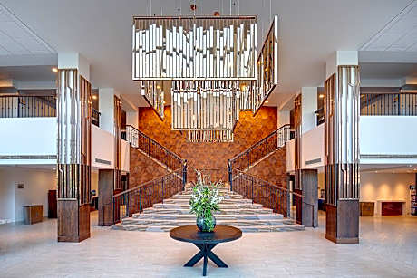 Studio Suite, 1 King