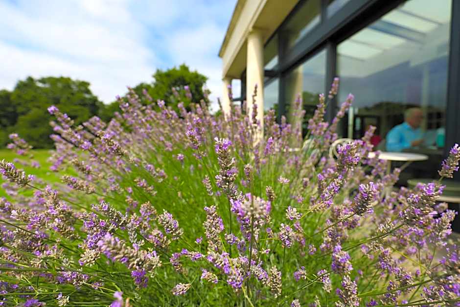 Hotel du Vin Cannizaro House Wimbledon