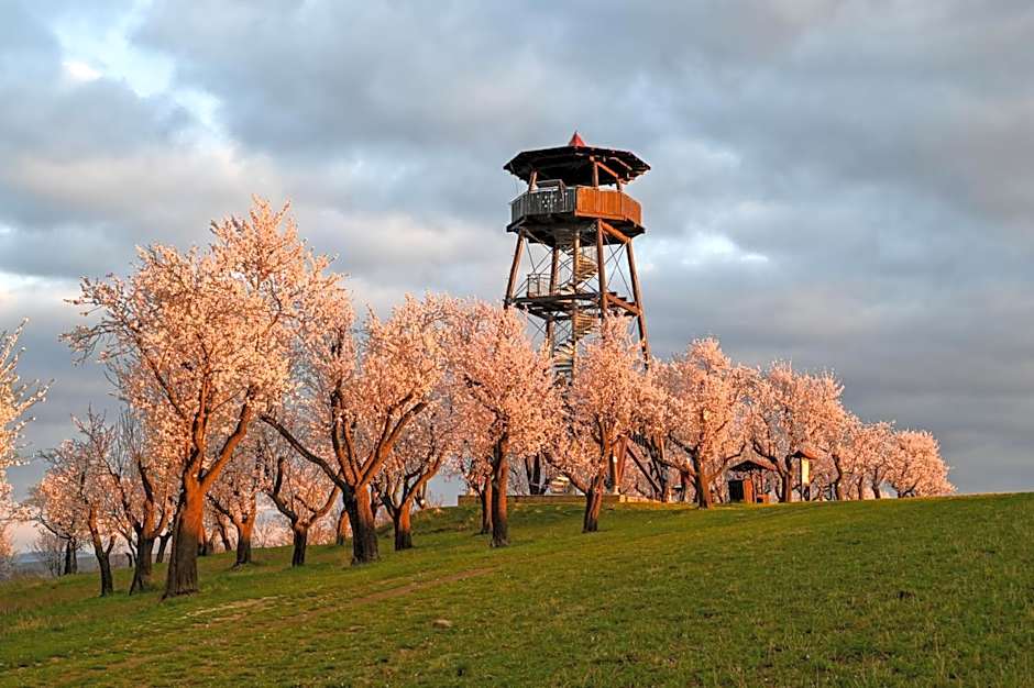 Hotel Rustikal Hustopeče - U Mandloňových sadů