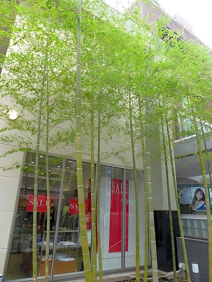 Hotel Hanakomichi