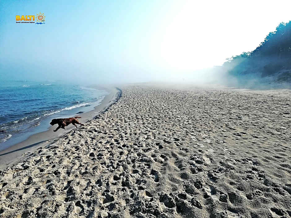 Balti Domki Letniskowe