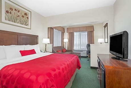 1 King Bed One-Bedroom Mobility Accessible Suite Non-Smoking