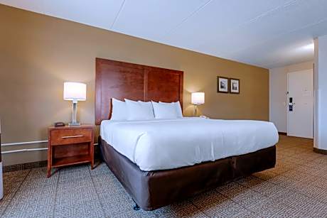 King Suite Upgrade