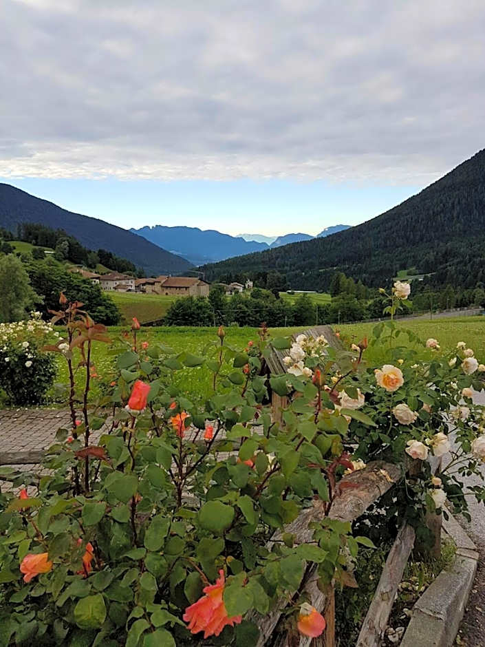 B&B Affittacamere Larix