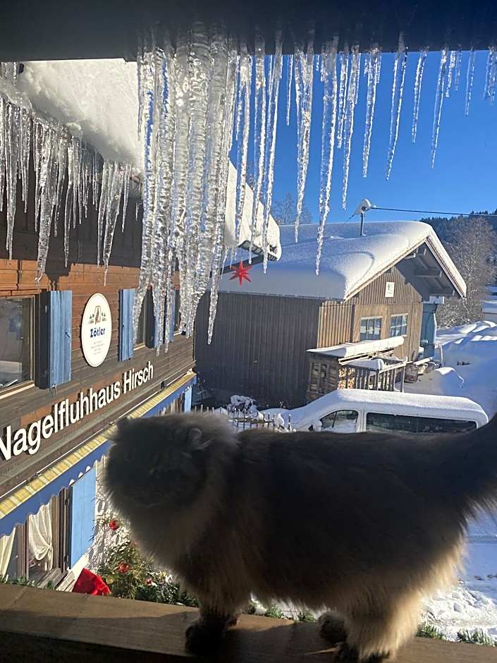 Nagelfluhhaus Hirsch