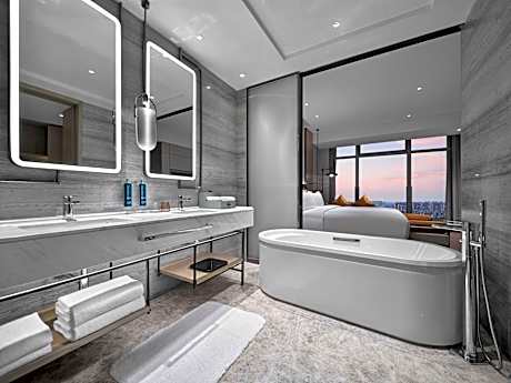 KING AMBASSADOR SUITE