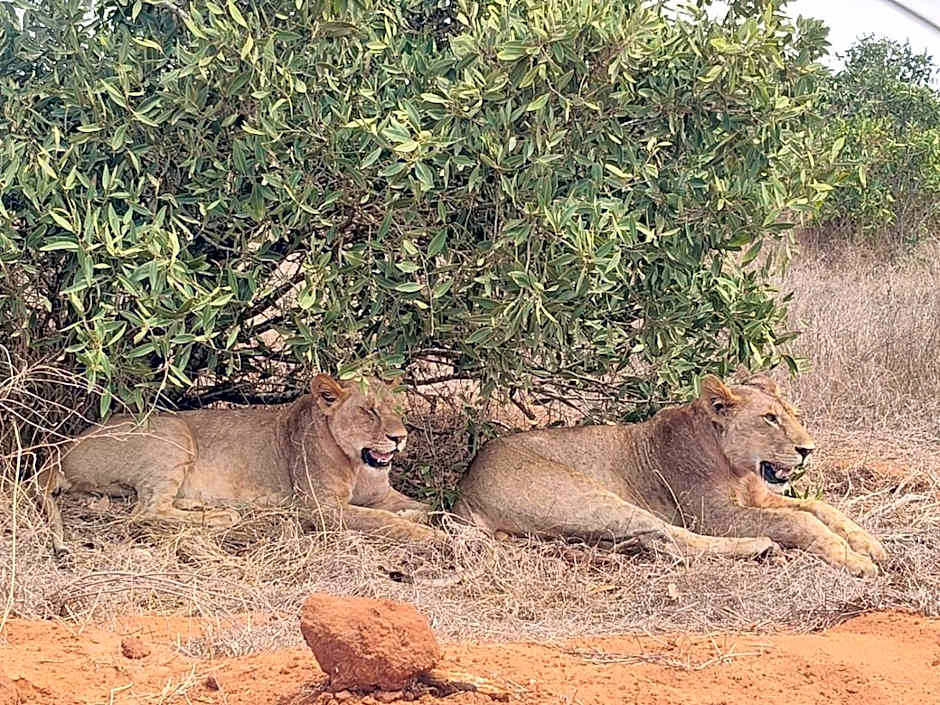 Tausa Tsavo Eco Lodge