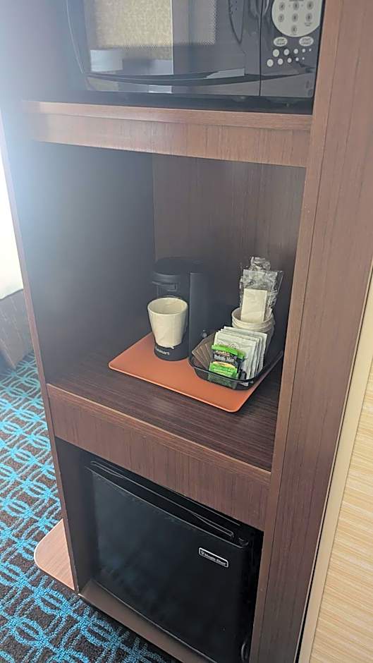 Fairfield Inn & Suites by Marriott Detroit Troy