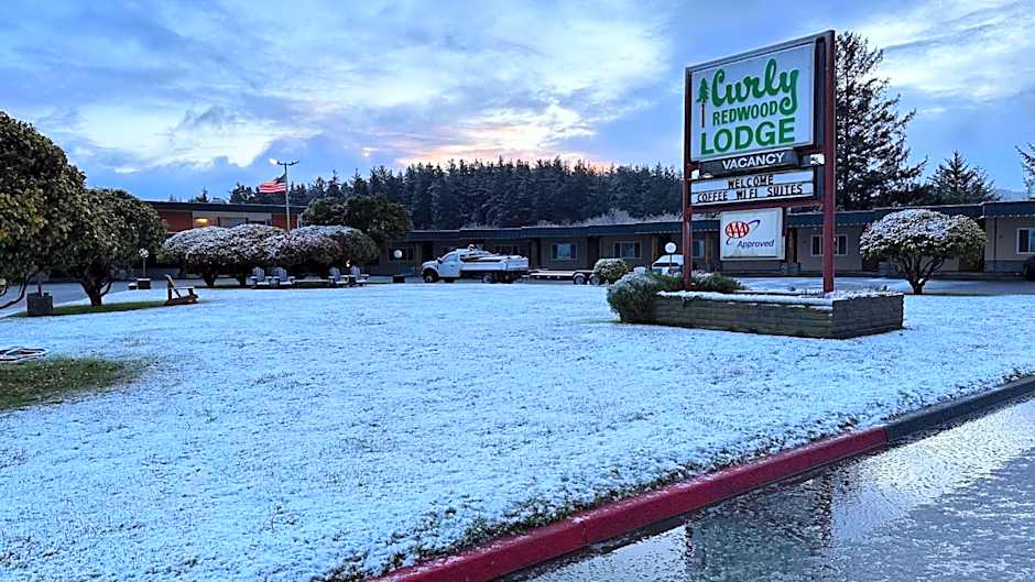Curly Redwood Lodge