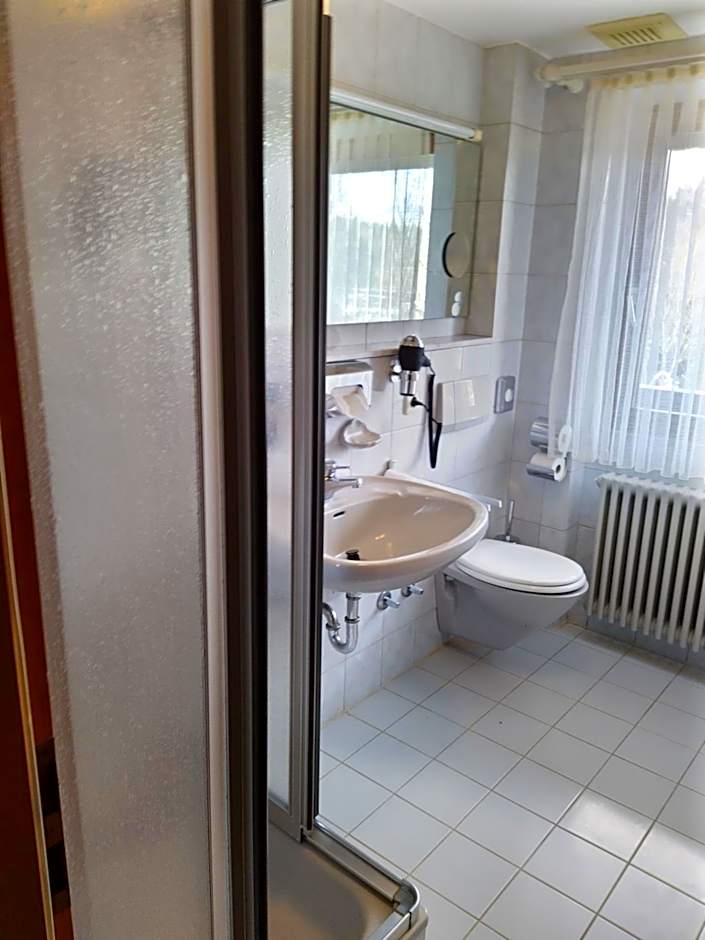 Hotel Faller