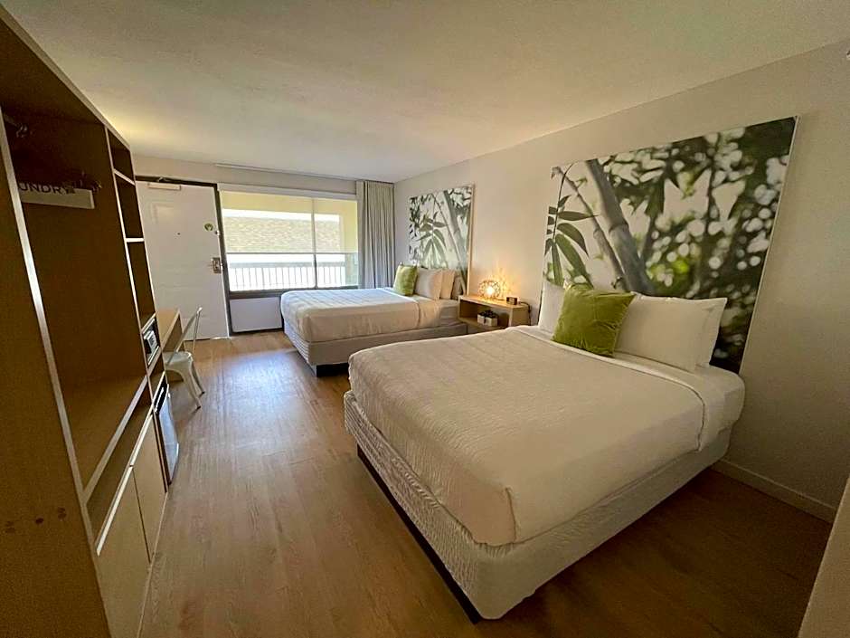 Newly renovated room in cozy hotel near Disney 2