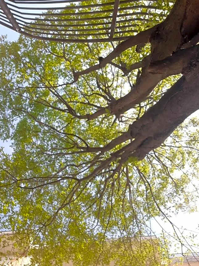 HOTEL QUERINI Essential Business Hotel Sandrigo