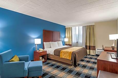 King Room with Sofa Bed