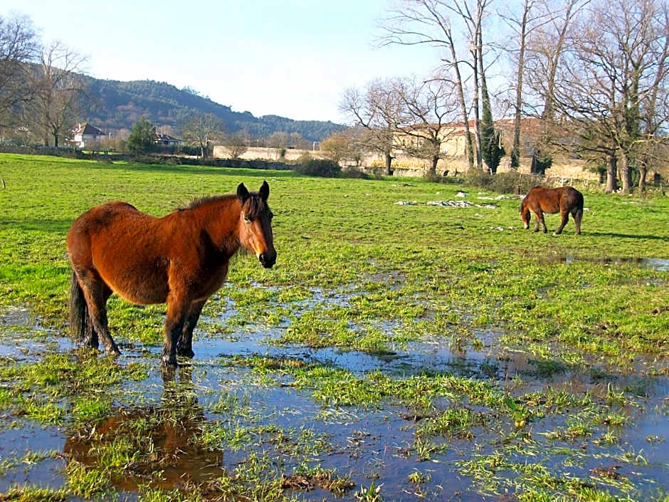 Hotel Rural en Escalante Las Solanas