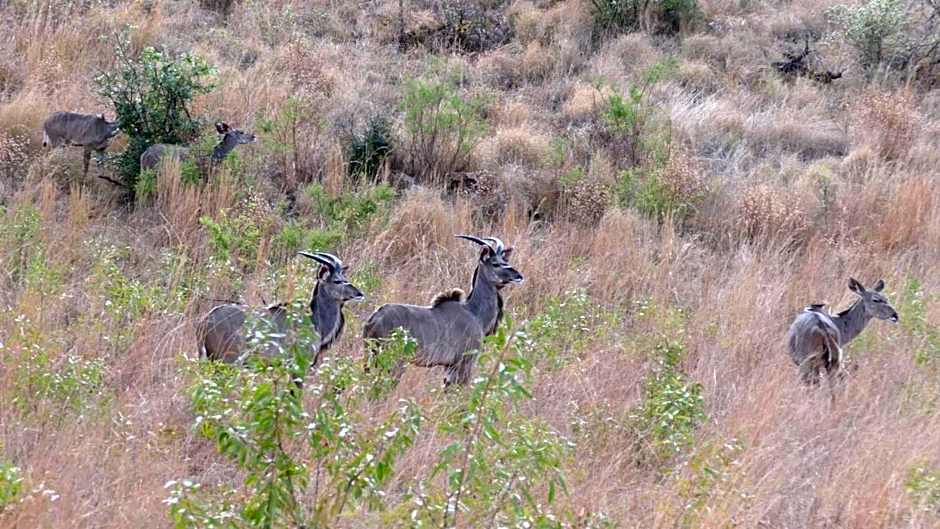 Morokolo Safari Lodge Self-catering
