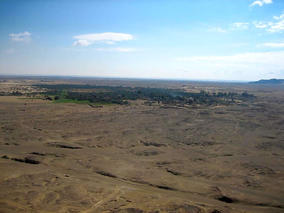 Western Desert Hotel & Safari