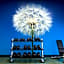 SpringHill Suites by Marriott Kennewick Tri-Cities