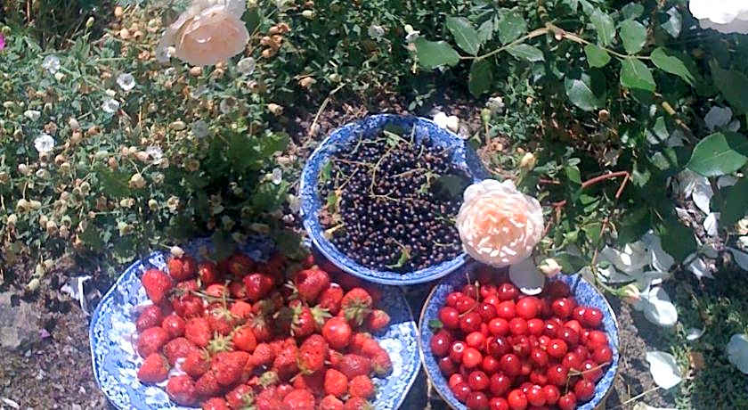 Les Trauchandieres de Saint Malo